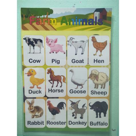 Laminated Chart For Kids Farm Animals Shopee Philippines