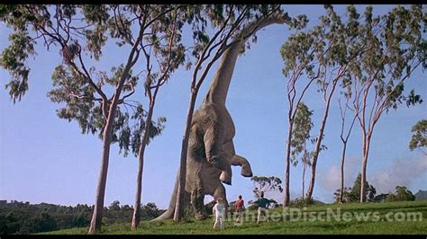 Environment Jurassic Park Film Jurassic Park Jurassic Park 1993