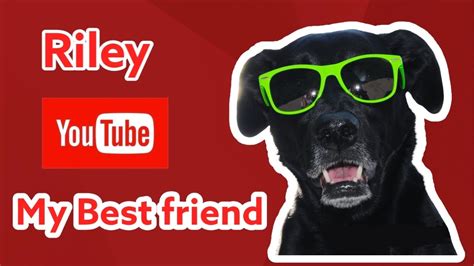 Riley Youtube