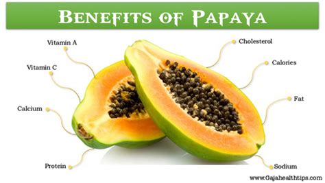 Top 12 Amazing Health Benefits Of Eating Papaya Fruit