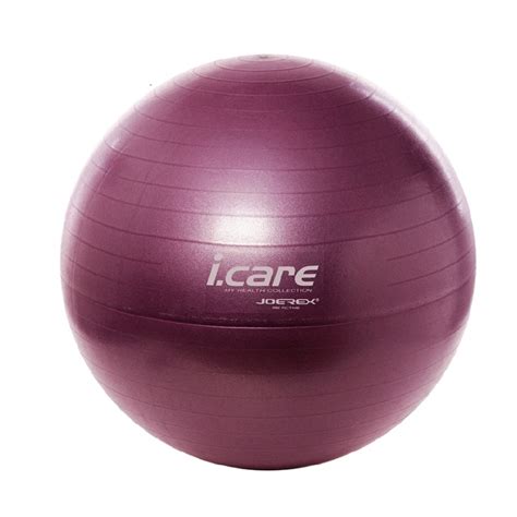 Joerex Icare 25 65cm Yoga Ball Balance Exercise Pilates Fitness