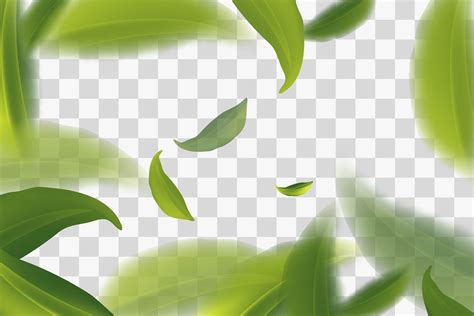 Vividly Flying Green Tea Leaves Transparent Background Vector