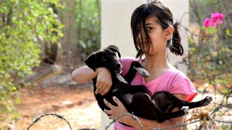 Kukur Tihar Time To Celebrate The Remarkable Human Canine Evolutionary