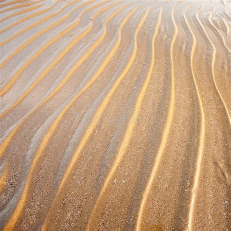 Close Of Wavy Sandy Beach Of Tropical Sea Art Shape Of Sandy Ripples