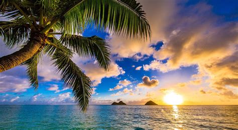 Hawaii Holidays 20212022