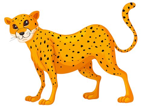 Мультяшные тигры львы Illustration Guepard Illustrations