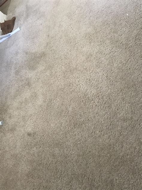 Changing the carpet can enhance air high quality nearly instantly. Is it possible to make this 4+ year old carpet like new ...