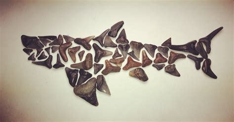 I Made Another Shark Out Of Sharks Teeth Rpics