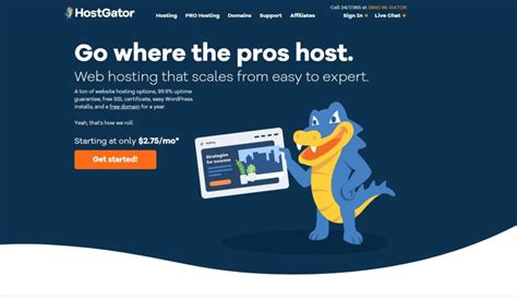 Year Unlimited Ssd Website Web Hosting Support Cpanel Based With Free Ssl S Internet