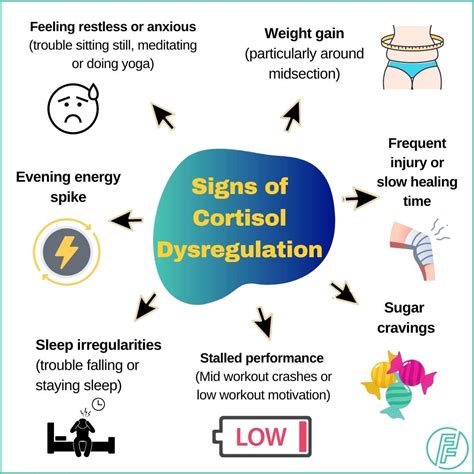 what-causes-inflammation-in-the-body-Signs-of-Cortisol-Dysregulation-1 ...