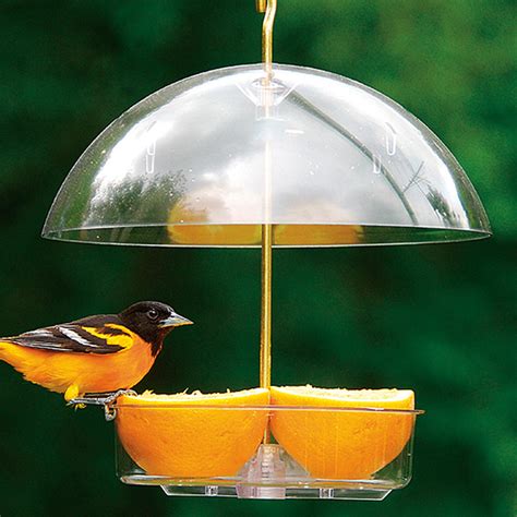 Dome top bluebird feeder, holds 4 suet cakes invite bluebirds to feed on mealworms, away from larger birds features adjustable dome to keep out larger birds & shelter your treats from the weather Droll Yankees Seed Saver Bird Feeder, Quality Domed Bird ...