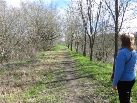 Check spelling or type a new query. Riverfront Regional Park (Healdsburg) - 2020 All You Need ...