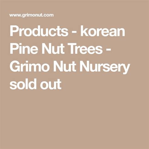 Products Korean Pine Nut Trees Grimo Nut Nursery Sold Out Pine
