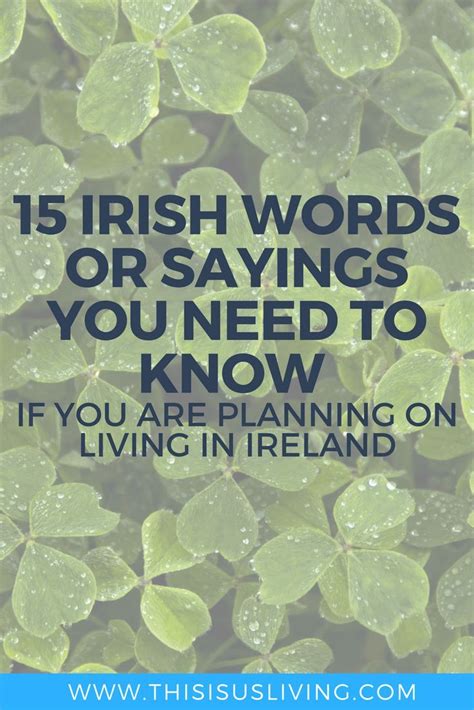 15 Irish Words Or Sayings You Need To Know This Is Usliving