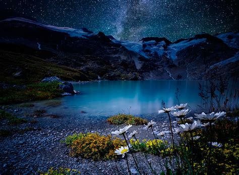 Download White Flower Star Lake Nature Night Hd Wallpaper