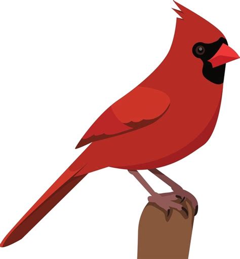 Cardinal Ohio State Bird 55 Images Photos De Stock Objets 3d Et