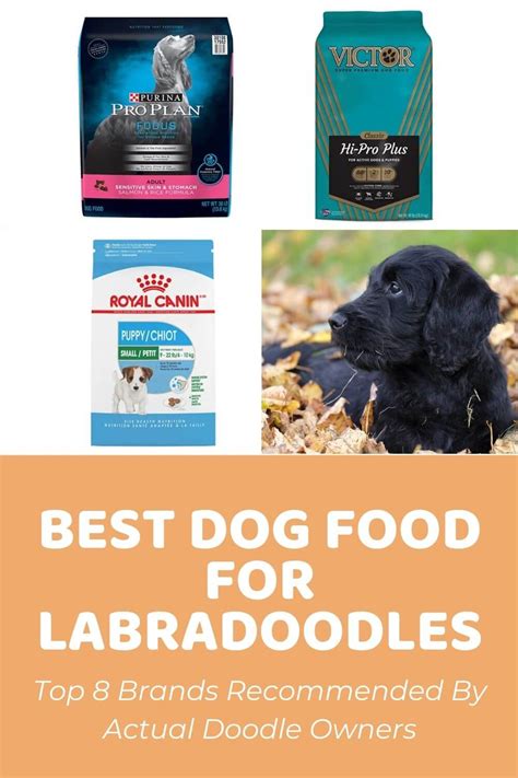 Recommended puppy food by breeds. Best Dog Food for Labradoodle - Top 8 Brands Fed by Doodle ...