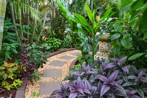 Tropical Breeze Is A Sydney Tropical Garden Filled With A Wide Variety