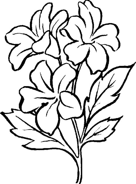 Free Black And White Plants Download Free Black And White Plants Png