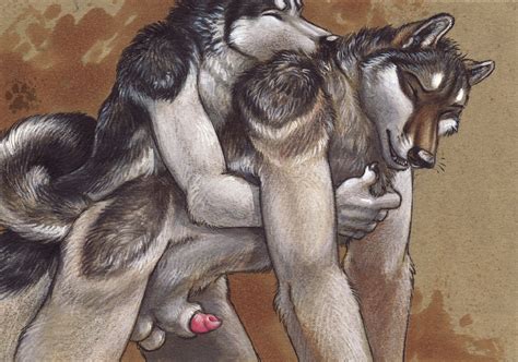 Rule 34 Anal Anthro Balls Blotch Canine Canine Penis Closed Eyes