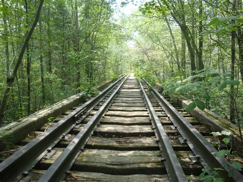 Nature Path Railroad Track Forest Wallpapers Hd Desktop And Mobile