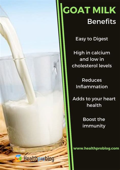 benefits of goat milk goat milk benefits healthy milk goat milk