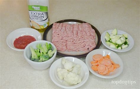 Homemade Dog Food Recipe For Skin Allergies