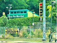 Reptile Expo San Antonio 2023