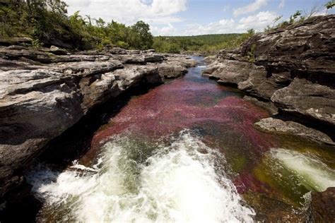 Caño Cristales Crystal River In Colombia With Images Earth