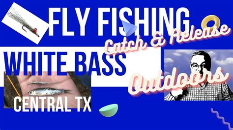 Hill Country White Bass Fly Fishing Lake Somerville Newman Bottom