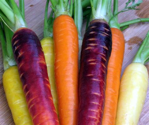 Carrots Carrots Rainbow Carrots Mixed Vegetables