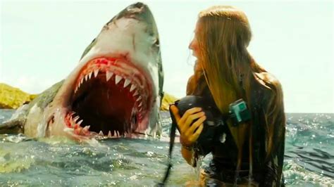 Scientifically Proven Man Eating Great White Sharks Hate The Taste Of Women Beachgrit
