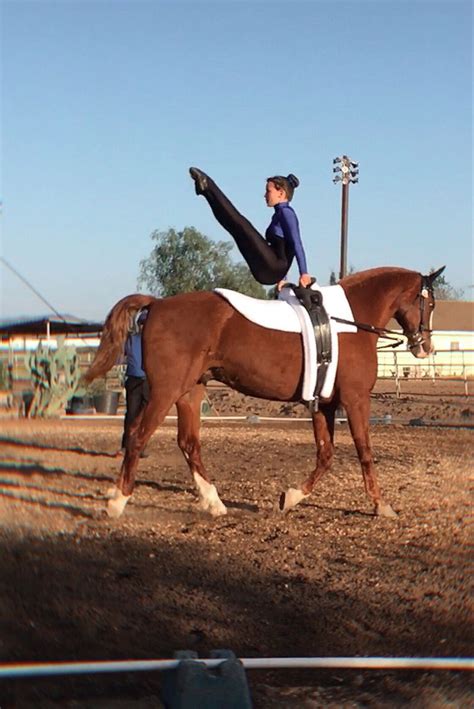 Vaulting Equestrian Horse Vaulting Equestrian Life Horse Yoga Trick