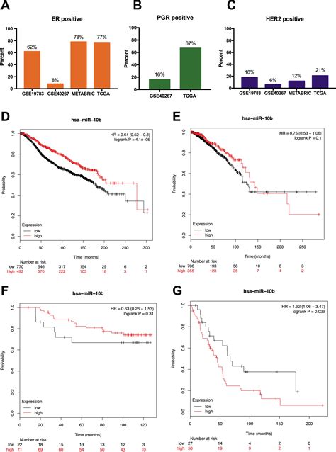 Role Of Mir B P In The Prognosis Of Breast Cancer Peerj