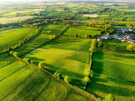 Aerial View Of Endless Lush Pastures And Farmlands Of Ireland