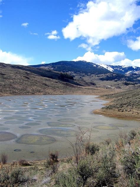 Spotted Lake Osoyoos Canadian Travel Outdoors Adventure