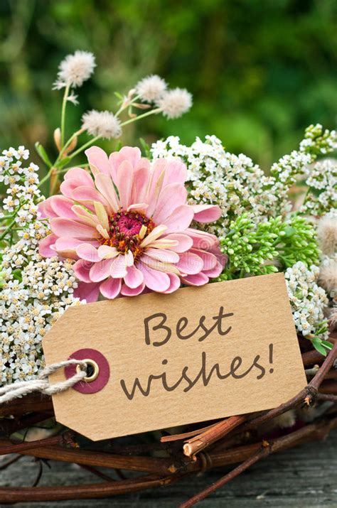 Best wishes stock image. Image of flower, bouquet, congratulations ...