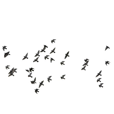 Flying Birds Silhouettes Transparent Png Clip Art Ima