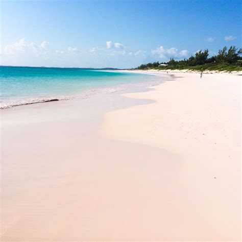 Pink Sands Beach Habour Island Bahamas In March Island Beach Pink