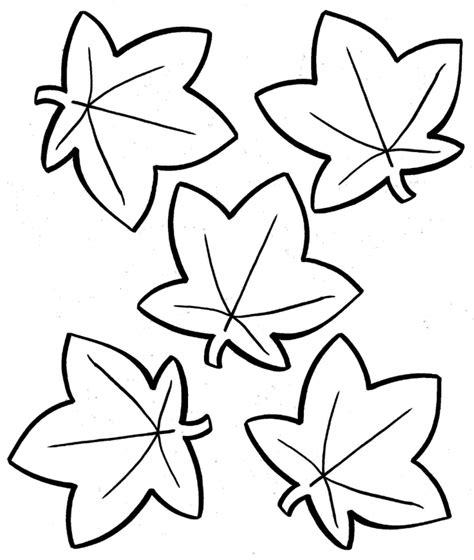 Get This autumn leaves coloring pages 8fgt5