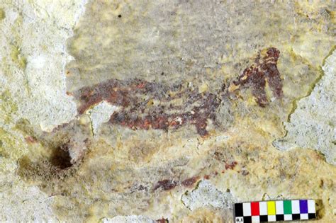 3295 Mythical Beings May Be Earliest Imaginative Cave Art By Humans