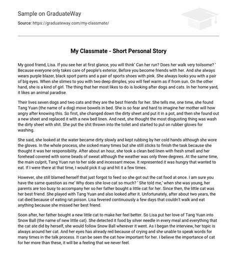 My Classmate Short Personal Story Essay Example Graduateway