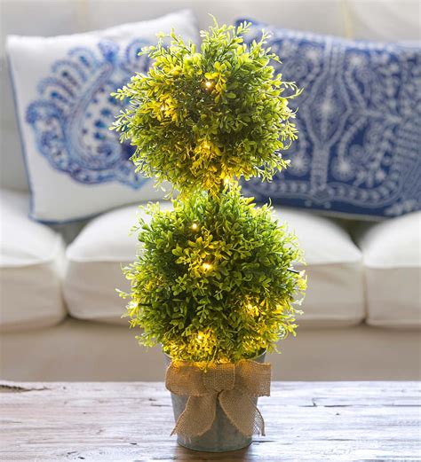 Outdoor Lighted Topiary Trees