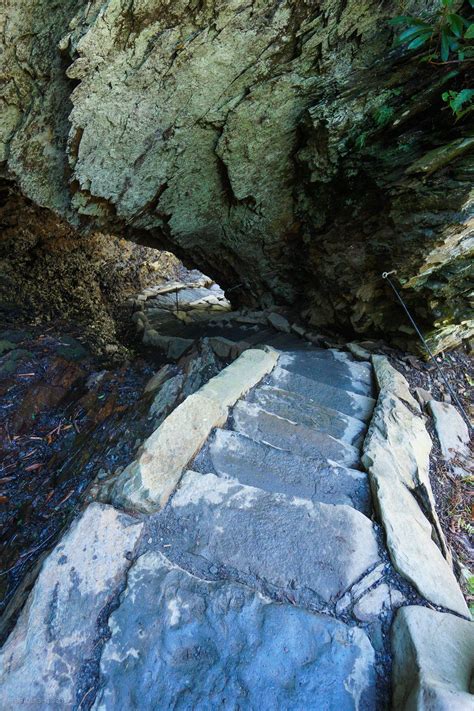 Mt. LeConte via the Alum Cave Trail – David Howland – Medium
