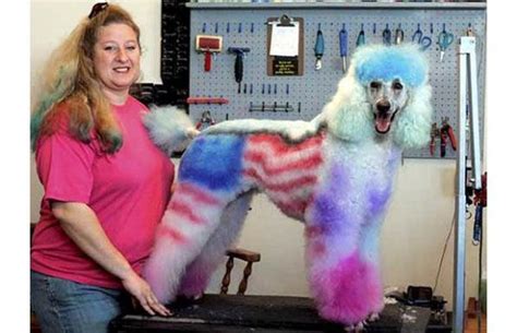 The 34 Most Hilarious But Awful Pet Haircuts