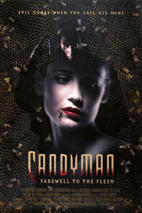 It is a direct sequel to the 1992 film of the same name and the fourth film in the candyman film series, based on the short story the forbidden by clive barker. Candyman 2 - Die Blutrache - Film
