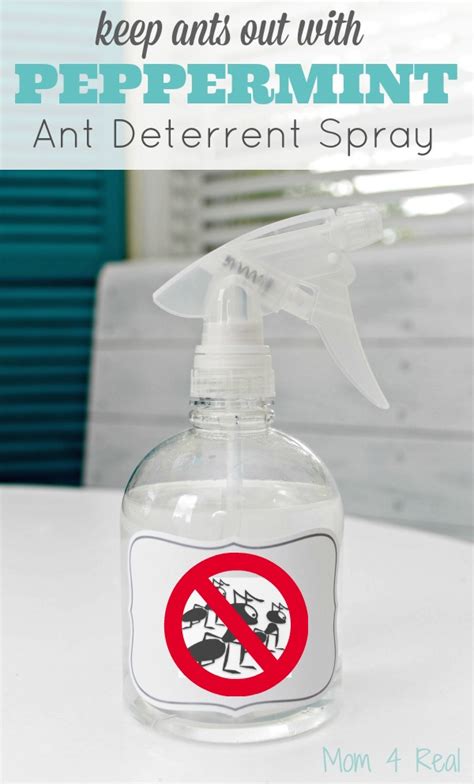 May 29, 2020 · happily, the best homemade mosquito repellent may be something you can diy with just two ingredients. Homemade Peppermint Ant Spray - Mom 4 Real