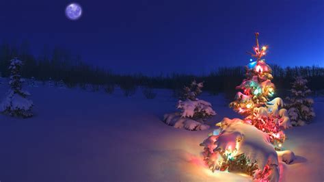 Snow Covered Christmas Tree Lights Wallpaper Preview