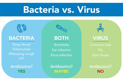 Differences Between Bacteria And Virus Images