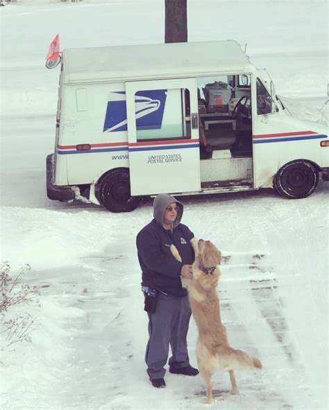 On his last day, he makes his usual rounds. Dog Waits Nearly Everyday To See Mailman And Give Him A ...